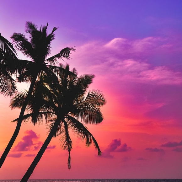 Meet your Posher, Bella - Picture 1 of 1